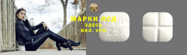 СК Алзамай