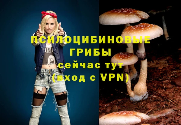 героин Алексин