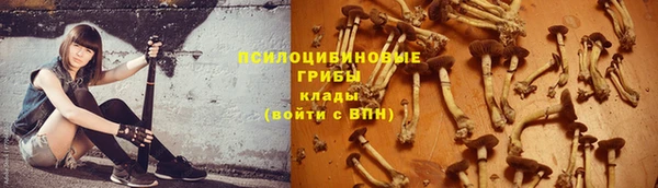 героин Алексин