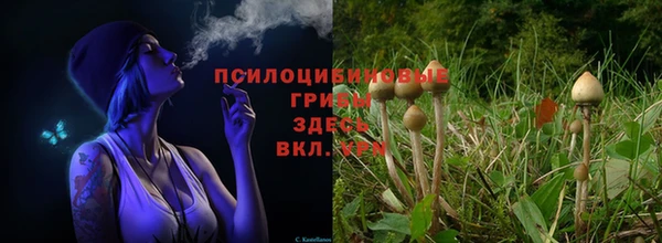 героин Алексин