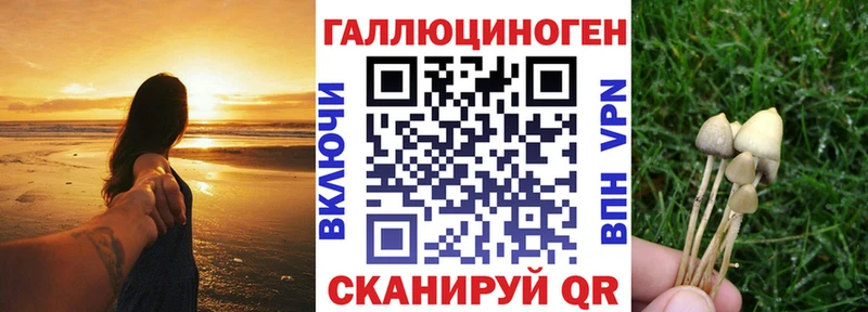 blacksprut ссылки  Любань  Галлюциногенные грибы MAGIC MUSHROOMS 