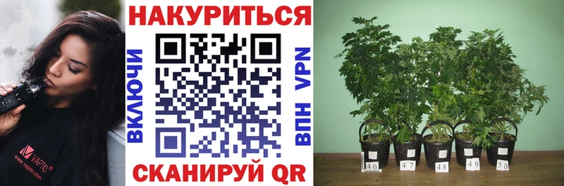 Марихуана THC 21%  Любань 